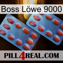 Boss Löwe 9000 05